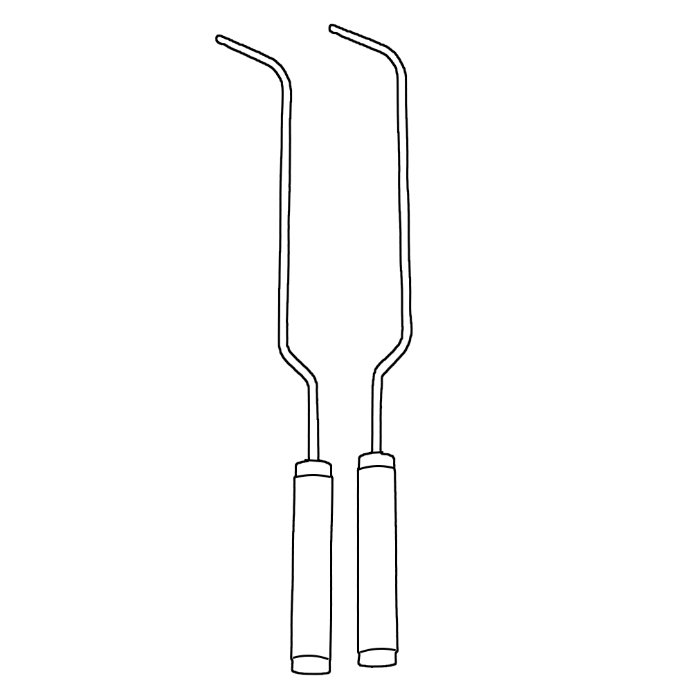 Agris Dingman Breast Dissector